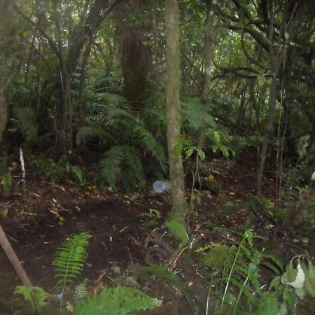 Tui Glen Villa Raurimu Luaran gambar