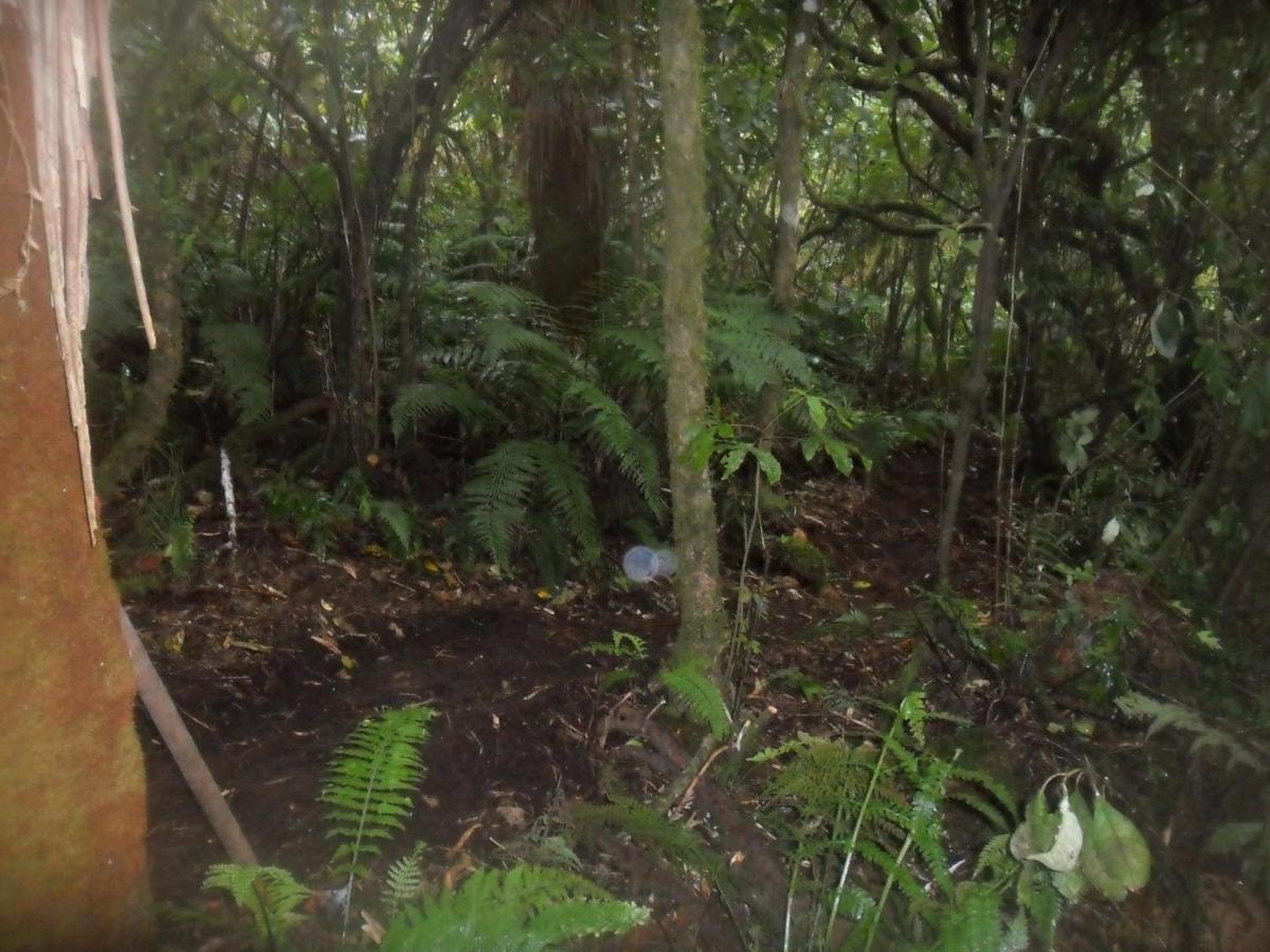 Tui Glen Villa Raurimu Luaran gambar