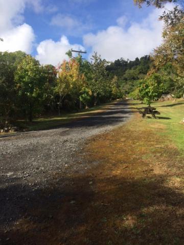 Tui Glen Villa Raurimu Luaran gambar